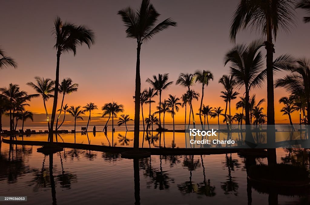 Coucher de soleil spectaculaire sur l'océan avec silhouettes de palmiers au Sud de l'Île Maurice